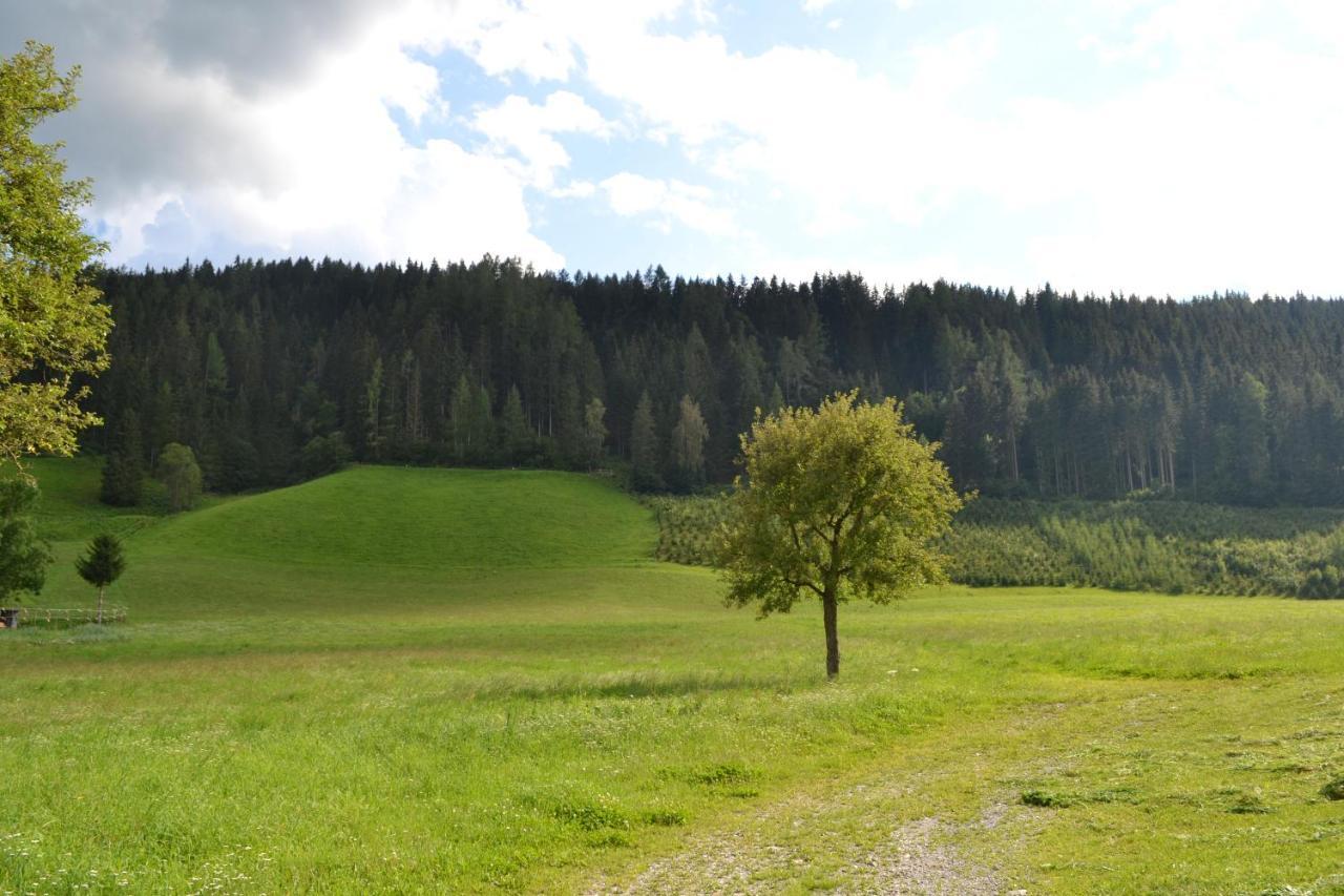 Ferienwohnung Ertlerhof Ranten Extérieur photo